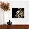 Picture of The Big Cat _GroupedProduct_Rectangle_Landscape_Photography _GroupedProduct_Rectangle_Landscape_Unframed_Print_Only_