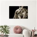 Picture of The Big Cat _GroupedProduct_Rectangle_Landscape_Photography _GroupedProduct_Rectangle_Landscape_Unframed_Print_Only_
