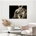 Picture of The Big Cat _GroupedProduct_Rectangle_Landscape_Photography _GroupedProduct_Rectangle_Landscape_Unframed_Print_Only_