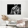 Picture of The Big Cat _GroupedProduct_Rectangle_Landscape_Photography _GroupedProduct_Rectangle_Landscape_Unframed_Print_Only_
