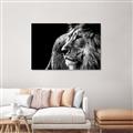 Picture of The Big Cat _GroupedProduct_Rectangle_Landscape_Photography _GroupedProduct_Rectangle_Landscape_Unframed_Print_Only_