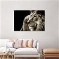 Picture of The Big Cat _GroupedProduct_Rectangle_Landscape_Photography _GroupedProduct_Rectangle_Landscape_Unframed_Print_Only_