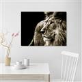 Picture of The Big Cat _GroupedProduct_Rectangle_Landscape_Photography _GroupedProduct_Rectangle_Landscape_Unframed_Print_Only_