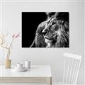 Picture of The Big Cat _GroupedProduct_Rectangle_Landscape_Photography _GroupedProduct_Rectangle_Landscape_Unframed_Print_Only_