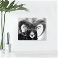 Picture of The Ram _GroupedProduct_Rectangle_Landscape_Photography _GroupedProduct_Rectangle_Landscape_Unframed_Print_Only_