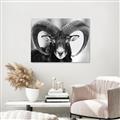 Picture of The Ram _GroupedProduct_Rectangle_Landscape_Photography _GroupedProduct_Rectangle_Landscape_Unframed_Print_Only_