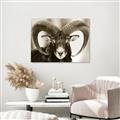 Picture of The Ram _GroupedProduct_Rectangle_Landscape_Photography _GroupedProduct_Rectangle_Landscape_Unframed_Print_Only_