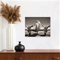 Picture of On the Runway _GroupedProduct_Rectangle_Landscape_Photography _GroupedProduct_Rectangle_Landscape_Unframed_Print_Only_