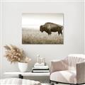 Picture of Bison Field _GroupedProduct_Rectangle_Landscape_Photography _GroupedProduct_Rectangle_Landscape_Unframed_Print_Only_