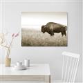Picture of Bison Field _GroupedProduct_Rectangle_Landscape_Photography _GroupedProduct_Rectangle_Landscape_Unframed_Print_Only_