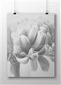 Picture of Flower isolated _GroupedProduct_Rectangle_Landscape_Photography _GroupedProduct_Rectangle_Landscape_Unframed_Print_Only_