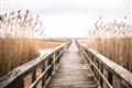Picture of A Wooden Bridge _GroupedProduct_Rectangle_Landscape_Photography _GroupedProduct_Rectangle_Landscape_Unframed_Print_Only_