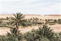 Picture of Desert Greens _GroupedProduct_Rectangle_Landscape_Photography _GroupedProduct_Rectangle_Landscape_Unframed_Print_Only_
