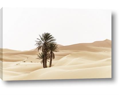 Picture of Sandy Desert