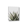 Picture of Cactus Succulent _GroupedProduct_Rectangle_Portrait_Photography _GroupedProduct_Rectangle_Portrait_Canvas_