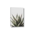 Picture of Cactus Succulent _GroupedProduct_Rectangle_Portrait_Photography _GroupedProduct_Rectangle_Portrait_Canvas_