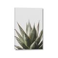 Picture of Cactus Succulent _GroupedProduct_Rectangle_Portrait_Photography _GroupedProduct_Rectangle_Portrait_Canvas_