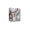 Picture of Eye of the Deer _GroupedProduct_Rectangle_Portrait_Photography _GroupedProduct_Rectangle_Portrait_Canvas_