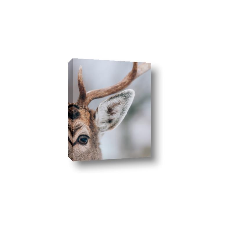 Picture of Eye of the Deer _GroupedProduct_Rectangle_Portrait_Photography _GroupedProduct_Rectangle_Portrait_Canvas_