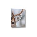 Picture of Eye of the Deer _GroupedProduct_Rectangle_Portrait_Photography _GroupedProduct_Rectangle_Portrait_Canvas_