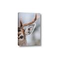 Picture of Eye of the Deer _GroupedProduct_Rectangle_Portrait_Photography _GroupedProduct_Rectangle_Portrait_Canvas_