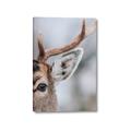 Picture of Eye of the Deer _GroupedProduct_Rectangle_Portrait_Photography _GroupedProduct_Rectangle_Portrait_Canvas_
