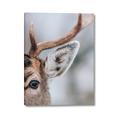 Picture of Eye of the Deer _GroupedProduct_Rectangle_Portrait_Photography _GroupedProduct_Rectangle_Portrait_Canvas_