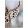 Picture of Eye of the Deer _GroupedProduct_Rectangle_Portrait_Photography _GroupedProduct_Rectangle_Portrait_Canvas_