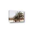 Picture of Wall with Palm Tree _GroupedProduct_Rectangle_Landscape_Photography _GroupedProduct_Rectangle_Landscape_Canvas_