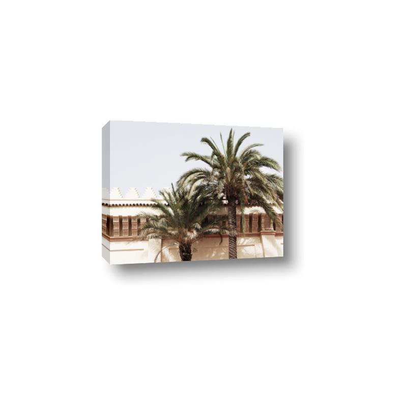 Picture of Wall with Palm Tree _GroupedProduct_Rectangle_Landscape_Photography _GroupedProduct_Rectangle_Landscape_Canvas_
