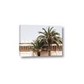 Picture of Wall with Palm Tree _GroupedProduct_Rectangle_Landscape_Photography _GroupedProduct_Rectangle_Landscape_Canvas_