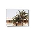 Picture of Wall with Palm Tree _GroupedProduct_Rectangle_Landscape_Photography _GroupedProduct_Rectangle_Landscape_Canvas_