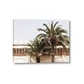 Picture of Wall with Palm Tree _GroupedProduct_Rectangle_Landscape_Photography _GroupedProduct_Rectangle_Landscape_Canvas_