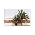 Picture of Wall with Palm Tree _GroupedProduct_Rectangle_Landscape_Photography _GroupedProduct_Rectangle_Landscape_Canvas_