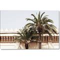 Picture of Wall with Palm Tree _GroupedProduct_Rectangle_Landscape_Photography _GroupedProduct_Rectangle_Landscape_Canvas_