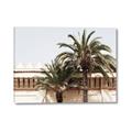 Picture of Wall with Palm Tree _GroupedProduct_Rectangle_Landscape_Photography _GroupedProduct_Rectangle_Landscape_Canvas_