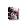 Picture of Blush Bloom _GroupedProduct_Rectangle_Portrait_Photography _GroupedProduct_Rectangle_Portrait_Canvas_