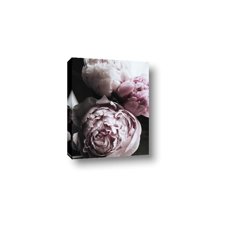 Picture of Blush Bloom _GroupedProduct_Rectangle_Portrait_Photography _GroupedProduct_Rectangle_Portrait_Canvas_