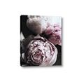 Picture of Blush Bloom _GroupedProduct_Rectangle_Portrait_Photography _GroupedProduct_Rectangle_Portrait_Canvas_