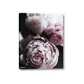 Picture of Blush Bloom _GroupedProduct_Rectangle_Portrait_Photography _GroupedProduct_Rectangle_Portrait_Canvas_