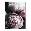 Picture of Blush Bloom _GroupedProduct_Rectangle_Portrait_Photography _GroupedProduct_Rectangle_Portrait_Canvas_