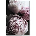 Picture of Blush Bloom _GroupedProduct_Rectangle_Portrait_Photography _GroupedProduct_Rectangle_Portrait_Canvas_