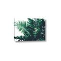 Picture of Fern Garden  _GroupedProduct_Rectangle_Landscape_Photography _GroupedProduct_Rectangle_Landscape_Canvas_
