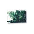 Picture of Fern Garden  _GroupedProduct_Rectangle_Landscape_Photography _GroupedProduct_Rectangle_Landscape_Canvas_
