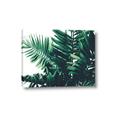 Picture of Fern Garden  _GroupedProduct_Rectangle_Landscape_Photography _GroupedProduct_Rectangle_Landscape_Canvas_