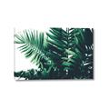 Picture of Fern Garden  _GroupedProduct_Rectangle_Landscape_Photography _GroupedProduct_Rectangle_Landscape_Canvas_