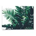 Picture of Fern Garden  _GroupedProduct_Rectangle_Landscape_Photography _GroupedProduct_Rectangle_Landscape_Canvas_