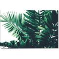Picture of Fern Garden  _GroupedProduct_Rectangle_Landscape_Photography _GroupedProduct_Rectangle_Landscape_Canvas_