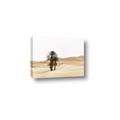 Picture of Sandy Desert  _GroupedProduct_Rectangle_Landscape_Photography _GroupedProduct_Rectangle_Landscape_Canvas_