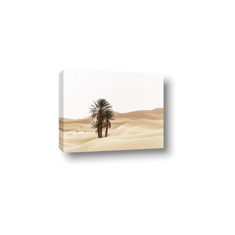 Picture of Sandy Desert  _GroupedProduct_Rectangle_Landscape_Photography _GroupedProduct_Rectangle_Landscape_Canvas_
